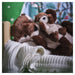 IKEA SKOGSDUVA soft toy – otter plush toys on bed with forest-themed decor, red birds and green wall - 90576899

