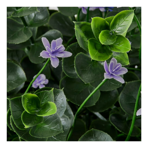 Close-up of purple flowers with green leaves