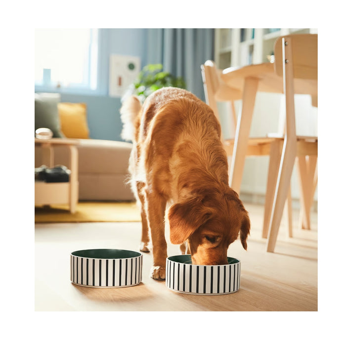 IKEA UTSÅDD Pet bowl, stripe pattern