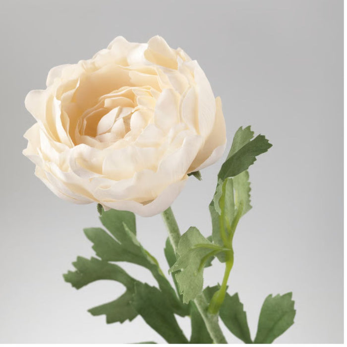 IKEA SMYCKA  Artificial flower, Ranunculus/white, 52 cm (20 ½ ")