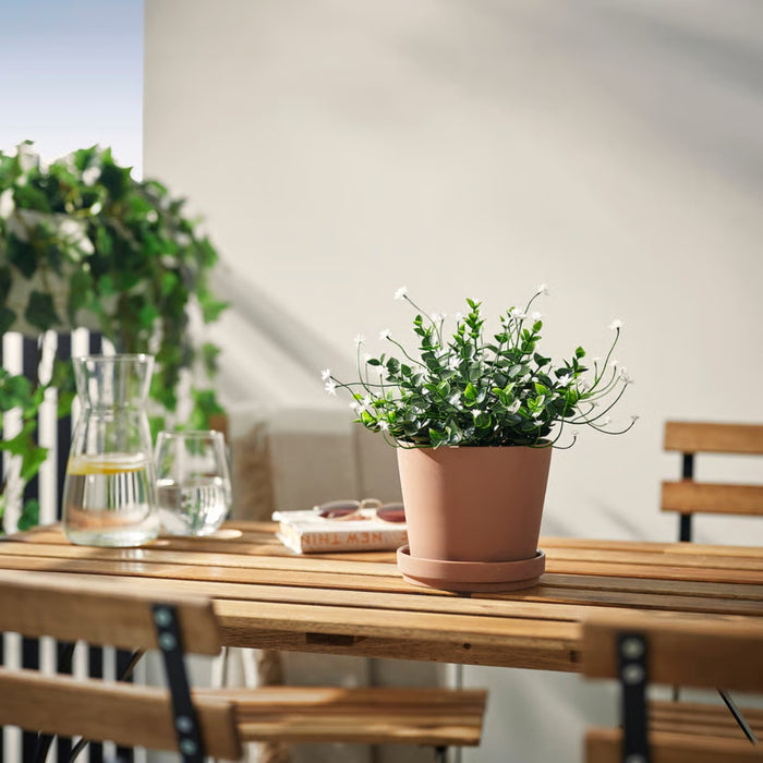 Artificial white flowering plant in terracotta pot on a sunlit wooden table with books, sunglasses, and lemon water.