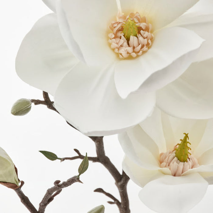 IKEA SMYCKA Artificial flower, in/outdoor/magnolia white, 61 cm (24 ")