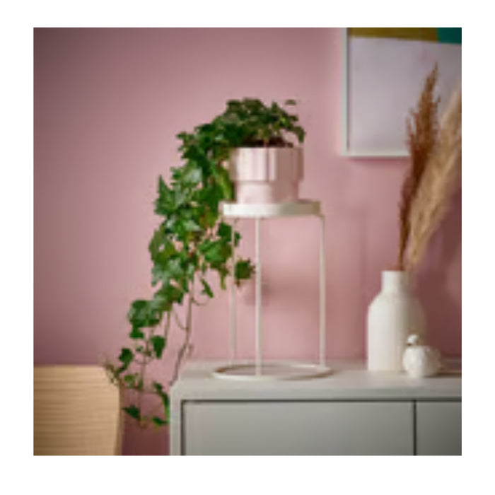 Decorative setup with plants and vases against a pink wall