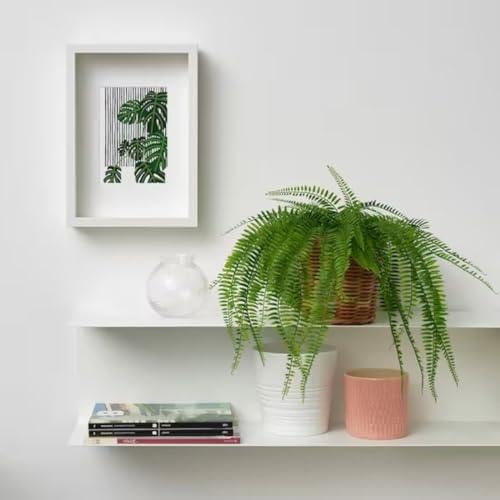 IKEA Artificial potted plant, in/outdoor hanging/fern, 12 cm (4 ¾ ") with  Plant pot, in/outdoor grey, 12 cm