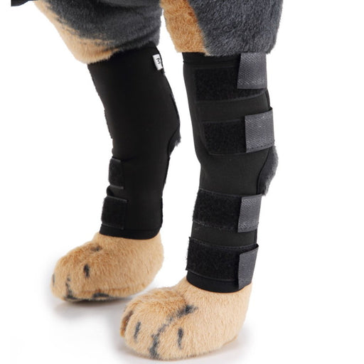 Blue pet leg strap walking support for medium-sized dogs. Provides stable hind leg support for mobility assistance. Features adjustable straps with secure Velcro fastenings and breathable padding for comfort. Designed to aid recovery and support senior dogs during walks.-
92145912403983