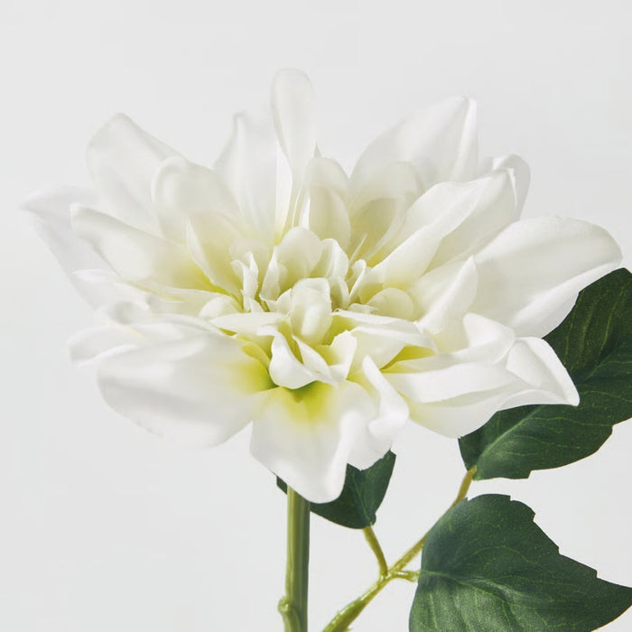 IKEA SMYCKA Artificial flower, in/outdoor Dahlia/pink, 65 cm with Artificial flower, in/outdoor/Dahlia lilac, 30 cm and  Artificial flower, in/outdoor/Dahlia white, 30 cm