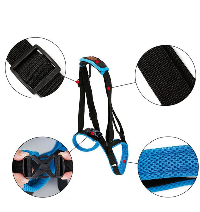 Blue pet leg strap walking support for dogs, size L. Designed to assist dogs with mobility issues by securely supporting their hind legs. Features durable straps, breathable mesh padding, and an adjustable buckle for a snug fit. Ideal for aiding post-surgery recovery or senior dogs needing extra support during walks-
