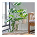 Indoor plant in a pot on a windowsill with a chair and cushions in the background