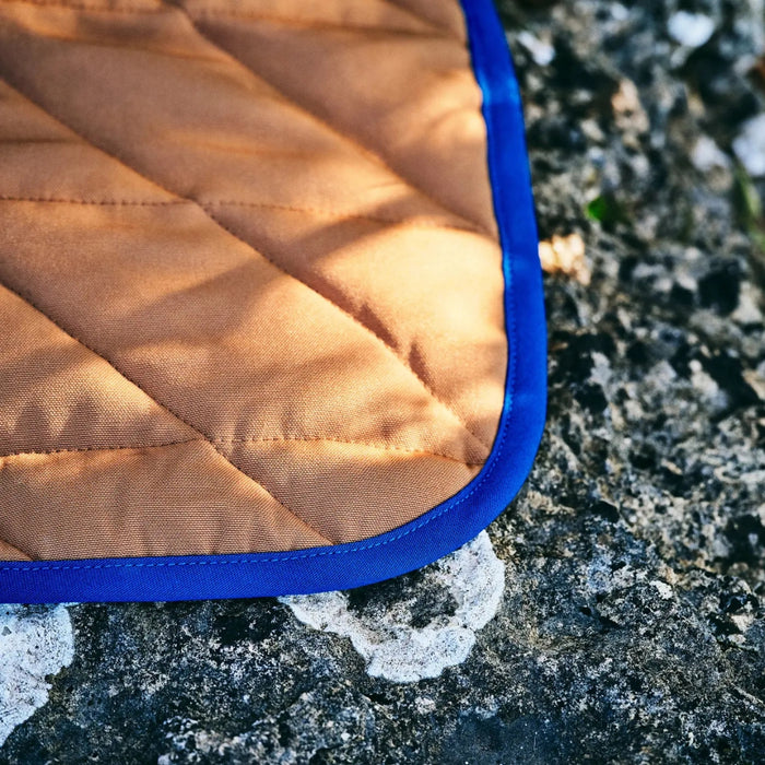 IKEA SOLUPPGÅNG Picnic Blanket Brown 130x170 cm with ROSENOXALIS Beach Towel Multicolour Striped 100x180 cm