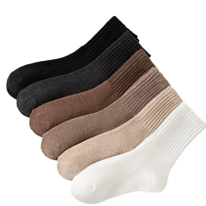 Set of four pairs of socks in black, brown, beige, and white on a white background