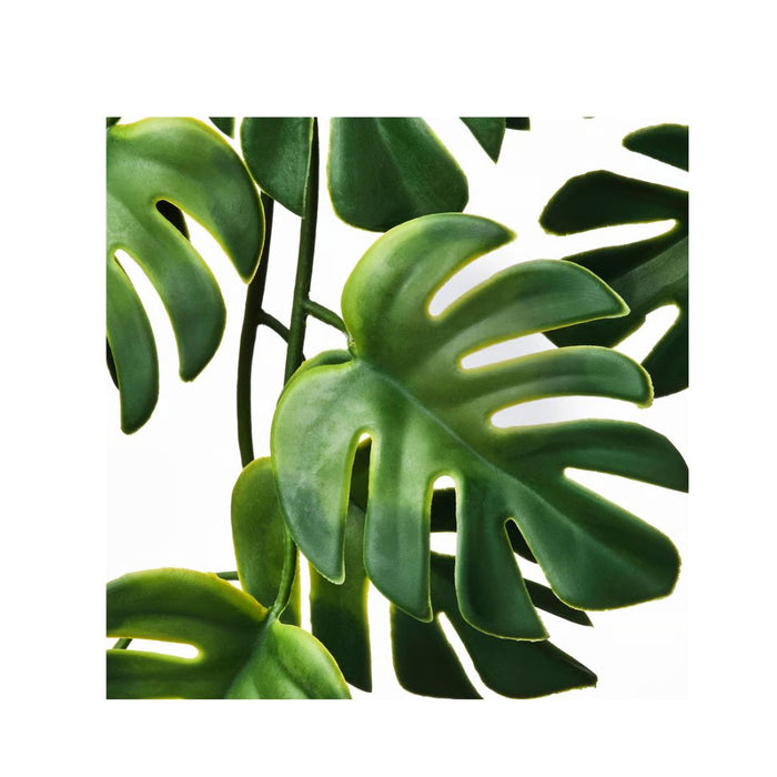 IKEA FEJKA Artificial potted plant, in/outdoor hanging/Monstera, 9 cm (3 ½ ")