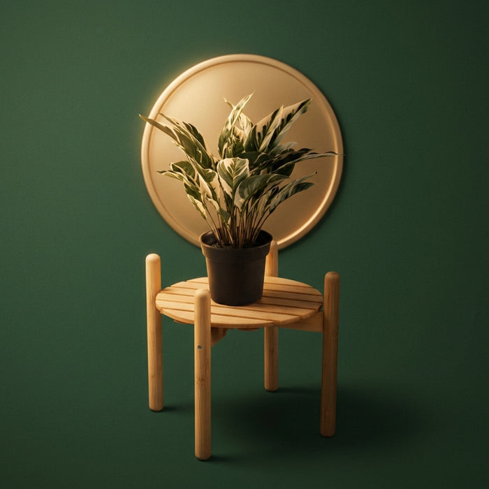 IKEA DAKSJUS Plant Stand Bamboo 28 cm with FEJKA Artificial Potted Plant Calathea 15 cm — Stylish Green Décor Combo
