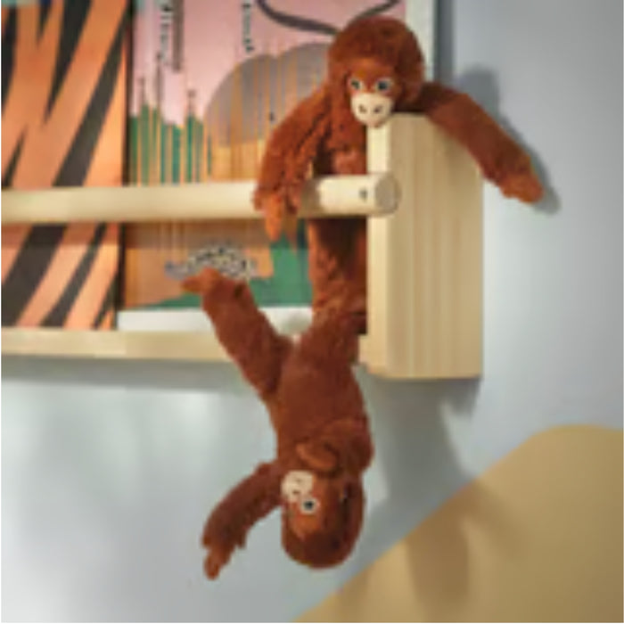 Two orangutan plush toys playfully hanging from a wooden shelf with colorful children’s books in the background.


