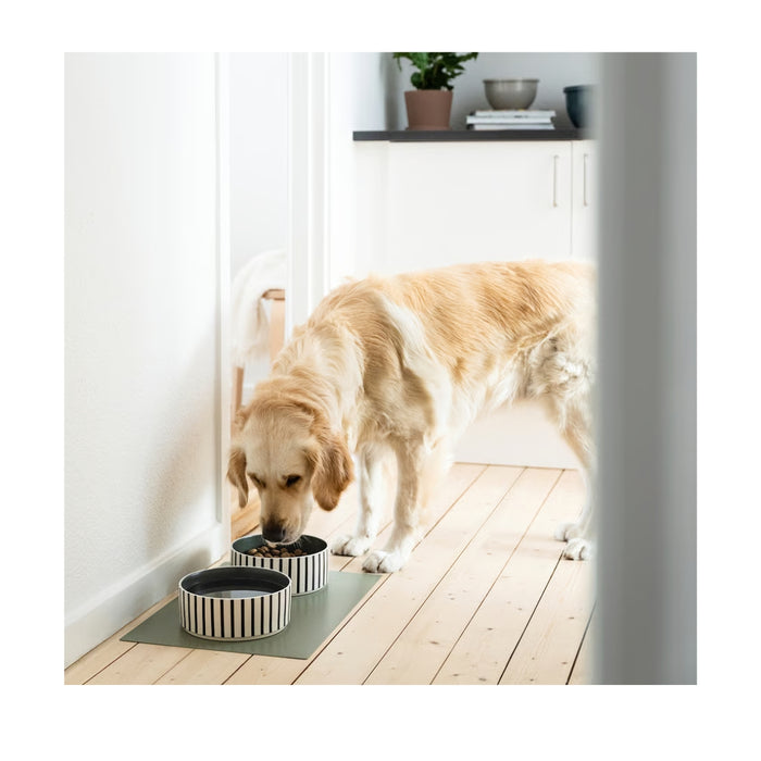 IKEA UTSÅDD Pet bowl, stripe pattern