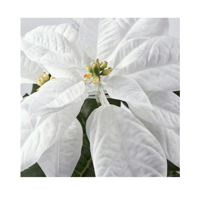 Christmas décor arrangement with poinsettia plants and wreath