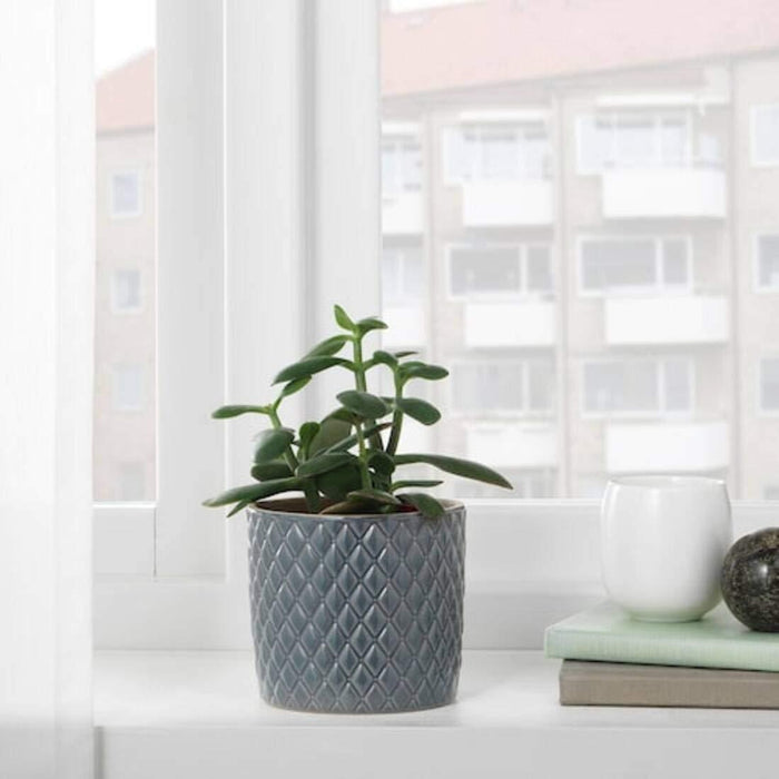 IKEA CHIAFRÖN Plant pot, grey, 9 cm with FEJKA Artificial potted plant, in/outdoor yellow, 9 cm (3 ½ ")
