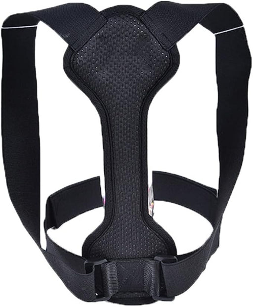 Black dog harness on a white background