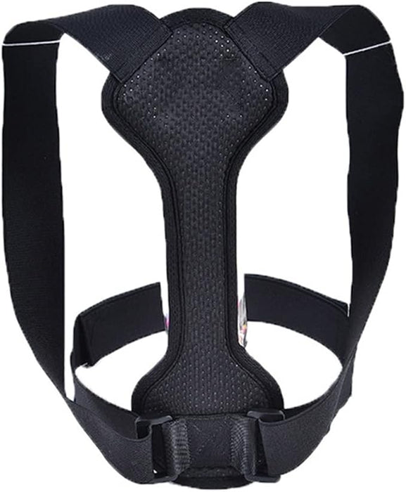 Black dog harness on a white background