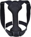 Black dog harness on a white background