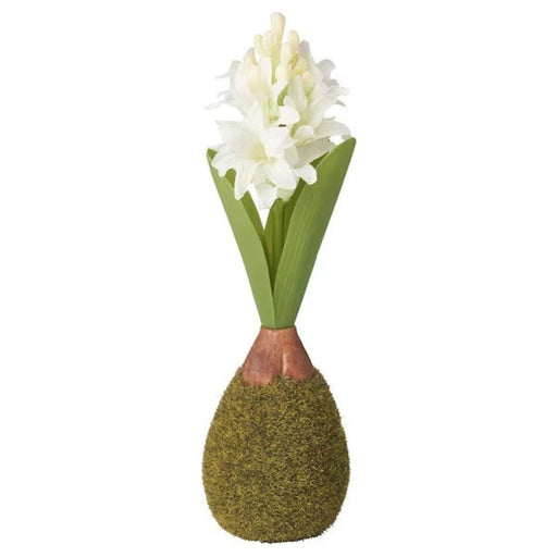 Close-up of VINTERFINT Artificial Hyacinth by IKEA          70563708