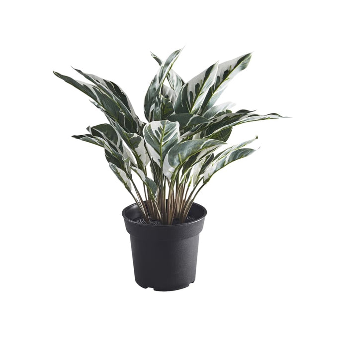 IKEA  Artificial potted plant, in/outdoor calathea, 15 cm (6 ") with Plant pot, in/outdoor grey, 15 cm