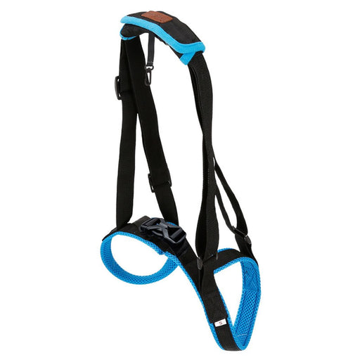 Blue pet leg strap walking support for dogs, size L. Designed with adjustable straps and padded areas for comfort. Provides stability for dogs with mobility issues or injuries. Secure buckle fastens for a snug fit, ensuring support while walking-
