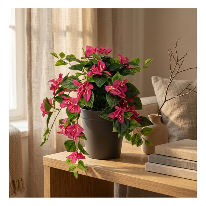 IKEA FEJKA Artificial Potted Plant Bougainvilla Pink 12 cm with ÅKERBÄR Plant Pot Anthracite 12 cm