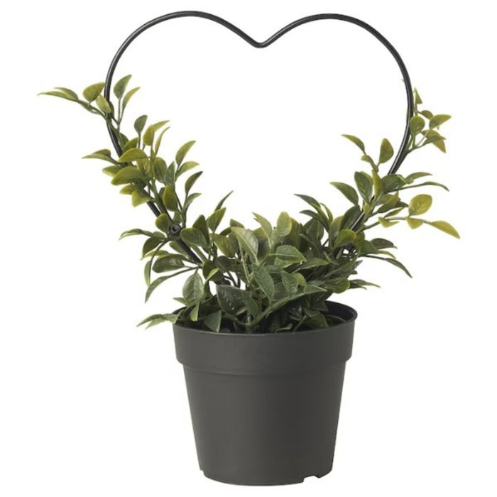 IKEA BROKTRAST Plant Pot Dark Grey 9 cm with VINTERFINT Artificial Potted Plant Myrtle/Bow 9 cm — Stylish Home Décor Combo