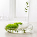 IKEA BERÄKNA bowl—clear glass, shallow design (26 cm diameter), filled with water and three floating flowers (two green, one white); set in a serene scene with soft light through a window, leafy plant in the background, and scattered lab glassware for a minimalist botanical touch – 80329041.
