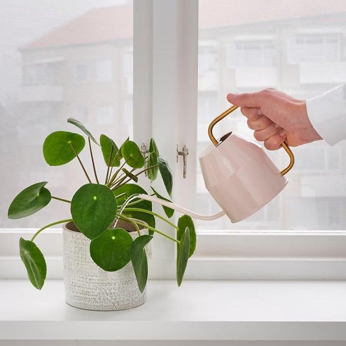 IKEA LÄRKAR 2-Piece Gardening Set, Birch/Stainless Steel Large with VATTENKRASSE Watering can, Pale Pink/Gold-colour0.9 l