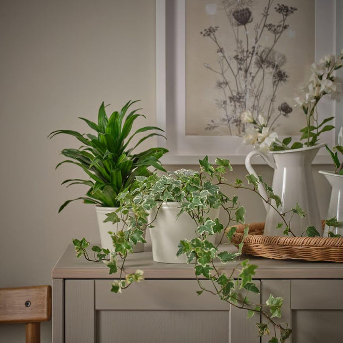IKEA KÖRSBÄRSBJÖRK Plant pot, light grey-beige, 9 cm (3 ½ ") with GRADVIS Plant pot, grey6 cm