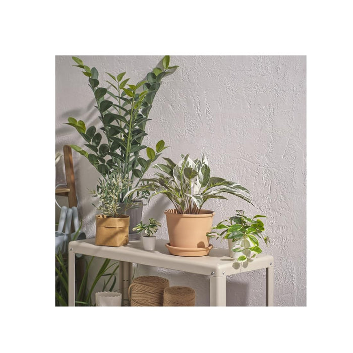 IKEA  Artificial potted plant, in/outdoor calathea, 15 cm (6 ") with Plant pot, in/outdoor grey, 15 cm