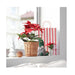 Festive room décor with artificial poinsettias and pine wreath set