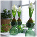 VINTERFINT Hyacinth in a Modern Vase: IKEA's Home Decor Solution  70563708
