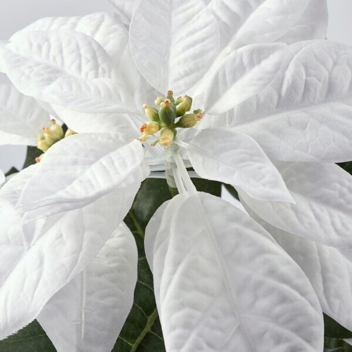 IKEA Artificial potted plant, in/outdoor Poinsettia/white, 12 cm with Plant pot, pink, 12 cm