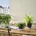 IKEA VÅRDTRÄD self-watering plant pot in transparent with anthracite base—placed on a sunny balcony with leafy plants, an open magazine, and a glass of water for a relaxing greenery vibe – 80570869.
