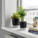 IKEA VÅRDTRÄD self-watering plant pots on a bright windowsill—two pots with transparent tops and anthracite bases hold leafy indoor plants; one with variegated green-yellow leaves, the other with slender palm-like foliage, placed beside stacked books and a small wooden house décor – 80570869.