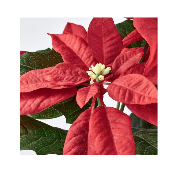 Holiday home setup featuring faux poinsettias and pine wreath