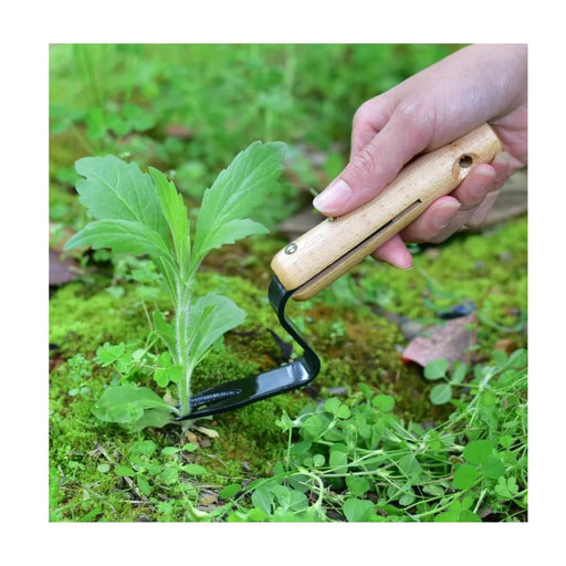 Hand holding a garden tool near a plant in a natural setting