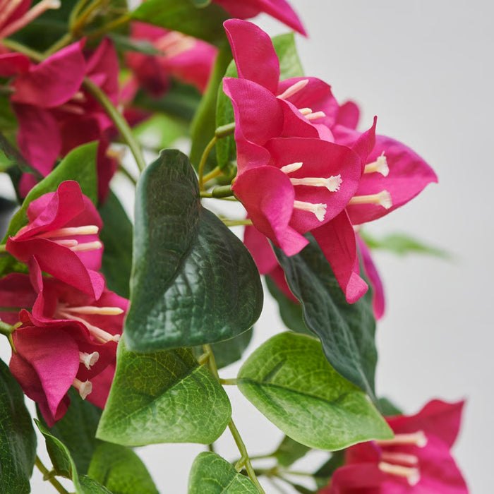 IKEA FEJKA Artificial Potted Plant Bougainvilla Pink 12 cm with ÅKERBÄR Plant Pot Anthracite 12 cm