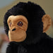Detailed view of SANDLÖPARE chimpanzee face with embroidered eyes and fuzzy black fur