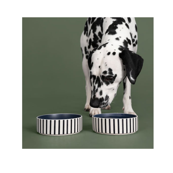IKEA UTSÅDD Pet bowl, stripe pattern