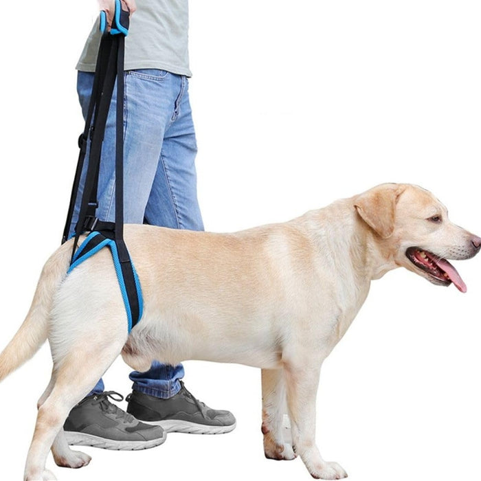 Digital Shoppy 3-in-1 Pet Care Set: Deshedding Grooming Mitt, Large Dog Mobility Leg Support & Waterproof Anti-Slip Socks - Total Care for Dogs & Cats