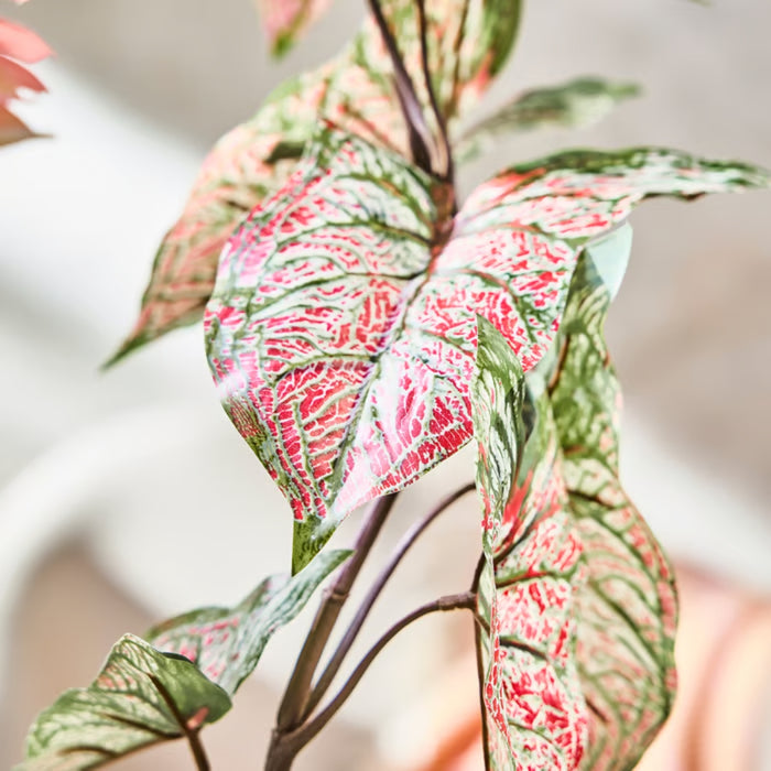 IKEA SMYCKA Artificial Flower Caladium 72 cm with SMYCKA Artificial Flower White Camellia 28 cm Pack of 1 — Tropical & Elegant Floral Combo