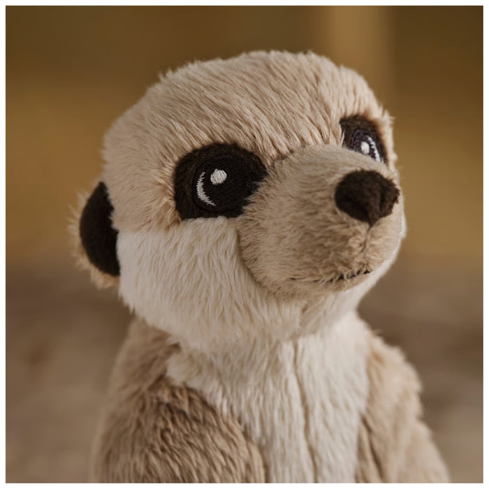 Close-up of a plush meerkat toy with a blurred background