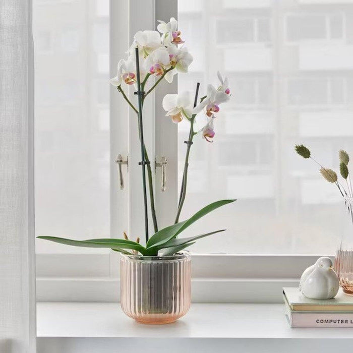 IKEA FEJKA Artificial Potted Plant, chrysanthemum, 9 cm with GRADVIS Plant Pot Light Pink, 9 cm 9 cm