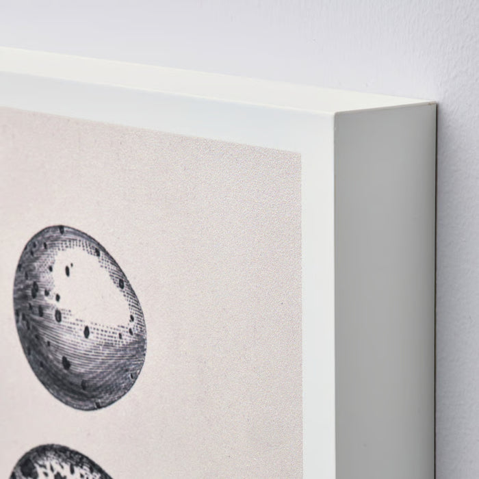 IKEA BJÖRNAMO Art Print on Hollow Wood Eggs 20x30 cm 2 Pack with IKEA ÄPPELTRÄD Frame Black 16.5x16.5 cm