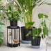 IKEA VÅRDTRÄD self-watering plant pot in transparent finish with anthracite base—displayed with leafy indoor plants and a black metal stand; stylish, functional solution for home greenery – 80570869.

Alt Text: IKEA VÅRDTRÄD self-watering plant pots on a bright windowsill—two pots with transparent tops and anthracite bases hold leafy indoor plants; one with variegated green-yellow leaves, the other with slender palm-like foliage, placed beside stacked books and a small wooden house décor – 80570869.