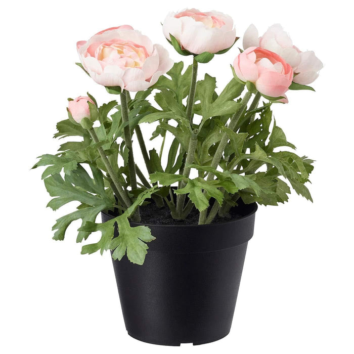 Ikea Plant Pot Indoor Outdoor Black 12 cm with Artificial Potted Ranunculus Pink 12 cm