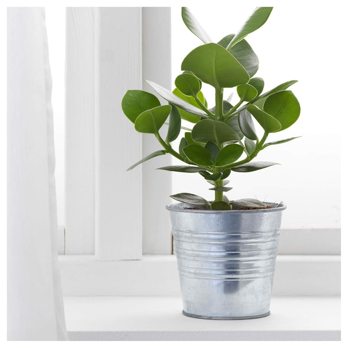IKEA Artificial potted plant, in/outdoor Monstera, 12 cm with Plant pot, in/outdoor/galvanised, 12 cm